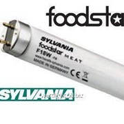 Sylvania F36W/176 Foodstar Meat, лампа для холодильника, для мяса и рыбы фото