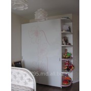 Шкафы гардеробные фото