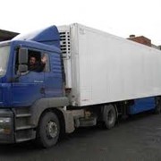 Перевозка грузов полуприцепами-рефрежираторами фото