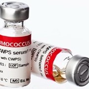 аллерген из библиотечной пыли для диагностики. торговый аллерген. фосталь асит. письмо об отсутствии аллергенов. гп «аллерген.