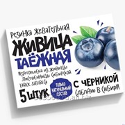 Смолка Живица таёжная с черникой - натуральная жевательная резинка фото