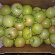 Яблоки зеленые фото