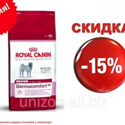 Сухой корм для собак Royal Canin Medium Dermacomfort 24 - 10 кг фотография