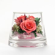 Роза в стекле tm FIORA TUCxs-Rp1 39874 фото