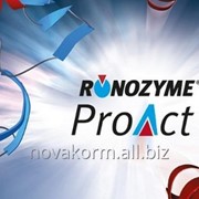 Добавка кормовая для повышения переваримости протеина в рационах свиней и птиц Ronozyme Pro Akt (СТ)