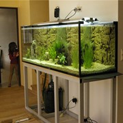 Смена декораций для аквариумов