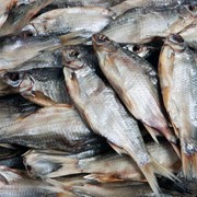 Рыба балычные изделия фото