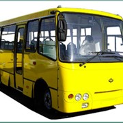 Автобусы городские Богдан А09202 купить фото