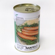 Морква Нантес / Nantes 2 100г