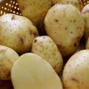 Продукты из картофеля