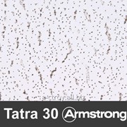 Подвесной потолок Armstrong Tatra 30 (Татра 30)