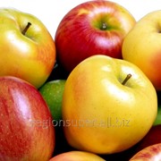 Микроудобрение ЯРИЛО ЦИНК-гуматы,ПАВ (для яблони,груши,кукурузы,бобовых,овощей) фотография