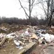 Сбор, вывоз и захоронение бытовых отходов Украина