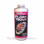 Flora Nova Bloom 946 мл фото