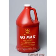 Go Max 3.79л (Гоу Макс)-витаминно-минеральная энергетическая подкормка фото