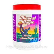 Добавка Mineral Magic GHE 1L, 6 шт/уп для гидропоники и почвы фото