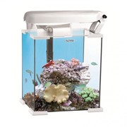 NANO REEF AQUARIUM SET AquaEl аквариум настольный, 20 литров, Розничная, Прозрачный с чёрной каймой фото