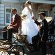 Прокат, аренда фаэтона для свадьбы фото