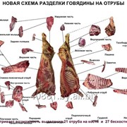 Полуфабрикаты мясные из говядины