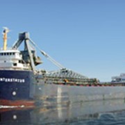 Перевозки морские грузов фото
