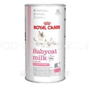 Земенитель молока для котят Royal Canin Babycat milk 0,3 кг фотография
