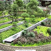 Озеленение фото