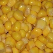 Кукуруза сахарная консервированная фотография