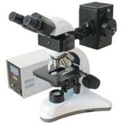 Микроскоп флюоресцентный MC 300 (FS), Micros (Австрия)