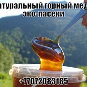 Мёд натуральный горный фото