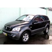 Kia Sorento фото