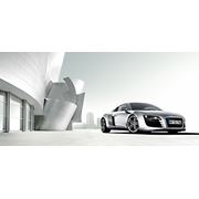 Автомобиль Audi R 8 Coupe фото