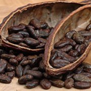 Какао масло (рафинированное), 200гр фото