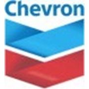 Chevron Delo Grease EP NLGI 2 (15,9 кг) фото