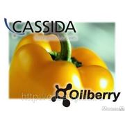 Cassida HDS 00 2 Пищевые пластичные смазки для тяжелых условий NSF H1 +140C фото