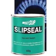 Смазка для газовых кранов Molyslip Slipseal фото