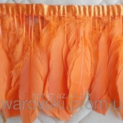 Тесьма перьевая из гусиных перьев. Цвет Orange (0. 5 м) ТГ10