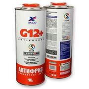 Antifreeze Coolant G12+ фото