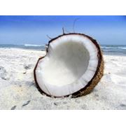 Масло кокосовое, 400 гр фотография