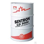 Масло газовое моторное Petro-Canada Sentron 470 SAE 40 низкозольное 0,51% фотография