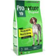 Pronature 19 (Пронатюр 19) для пожилых собак, 2,72 кг