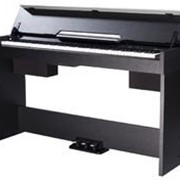 Цифровое фортепиано Medeli CDP-5000 фотография