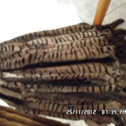 Русский мех норки Тигры фото