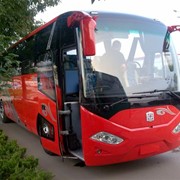Международные автобусные перевозки в Сербию фото