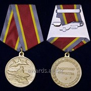 Общественная медаль Защитнику Отечества