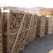 Дрова возможен экспорт дрова дубовые дрова акация, дрова березовые, дрова фруктовые, дрова груша, дрова ясень, сухие, колотые,кругляком фото