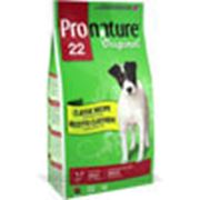 Pronature Original 22 (Пронатюр 22) для собак всех пород , с ягненком и рисом, 6 кг