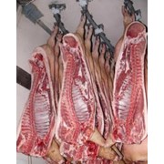 Продажа блочного мяса свинины фото