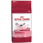 Сухой корм для щенков Royal Canin Medium Junior 32 - 1кг фотография