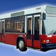 Автобусы и троллейбусы