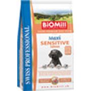 Сухой корм для собак крупных пород с аллергией на мясо BioMill SWISS PROFESSIONAL Maxi Adult Sensitive Salmon (лосось) фотография